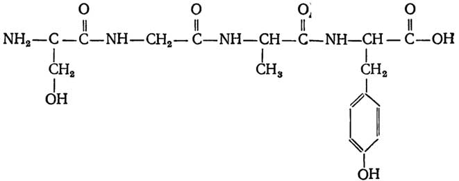 http://www.lailas.ru/biochemistry/basics/images/000137.jpg