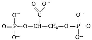 http://www.lailas.ru/biochemistry/basics/images/000136.jpg