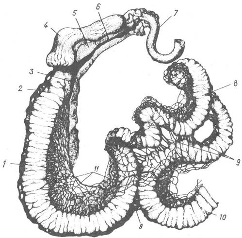 image197